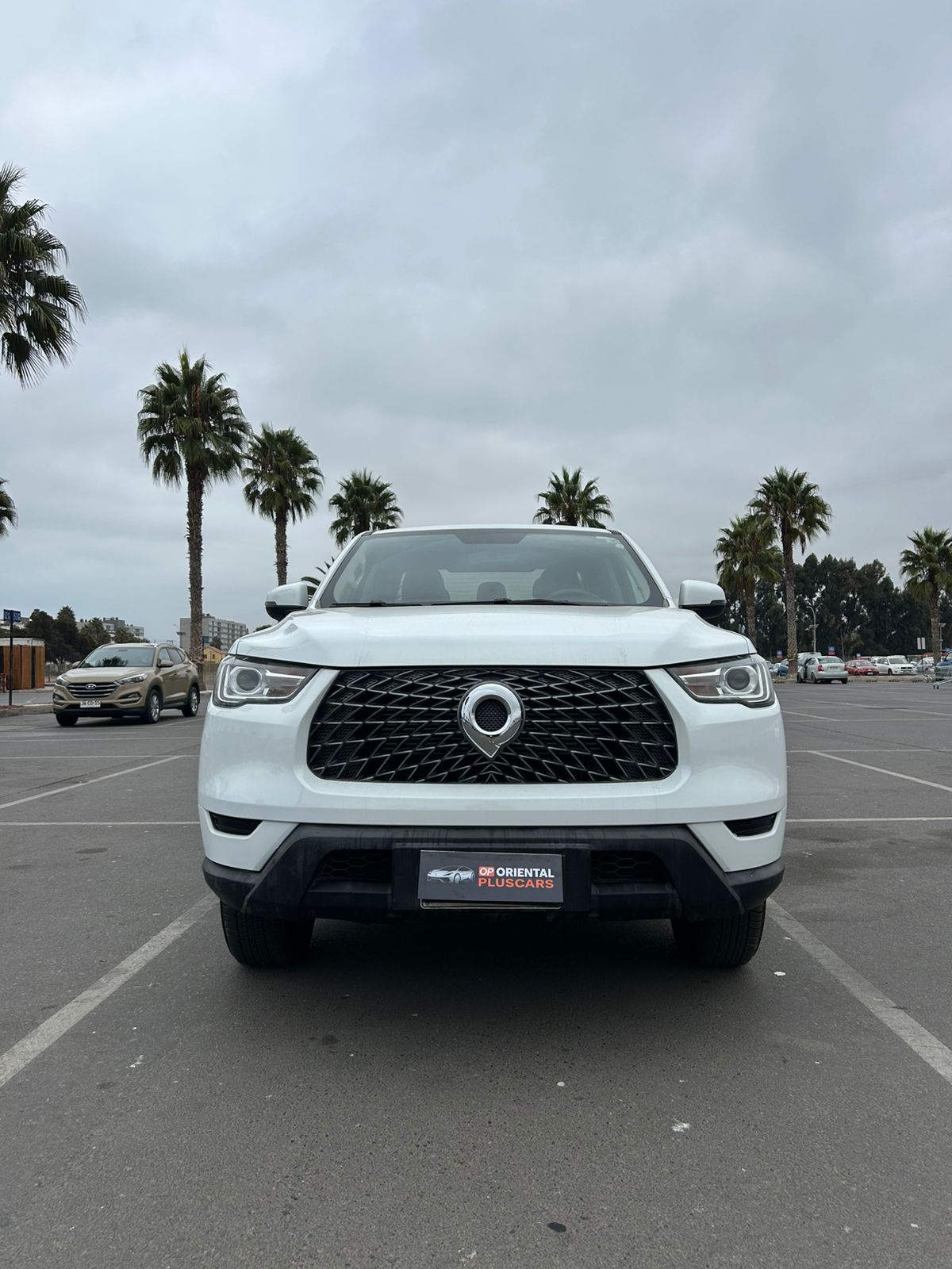 GREAT WALL POER ELITE 2.0 4X2